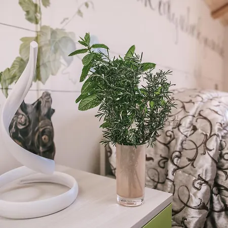 农家乐 Ca' Colomba *